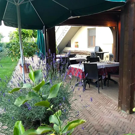 Da Nando Antica Osteria Hotel Godi